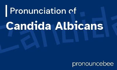 pronounce candida